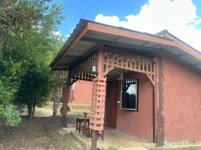 FourTwoEight Mini House